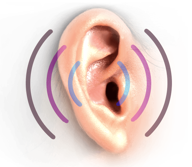 Ear